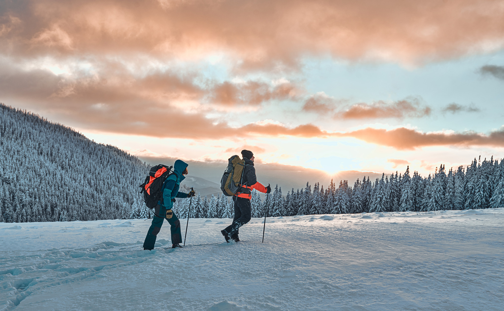 Hiking poles backpack