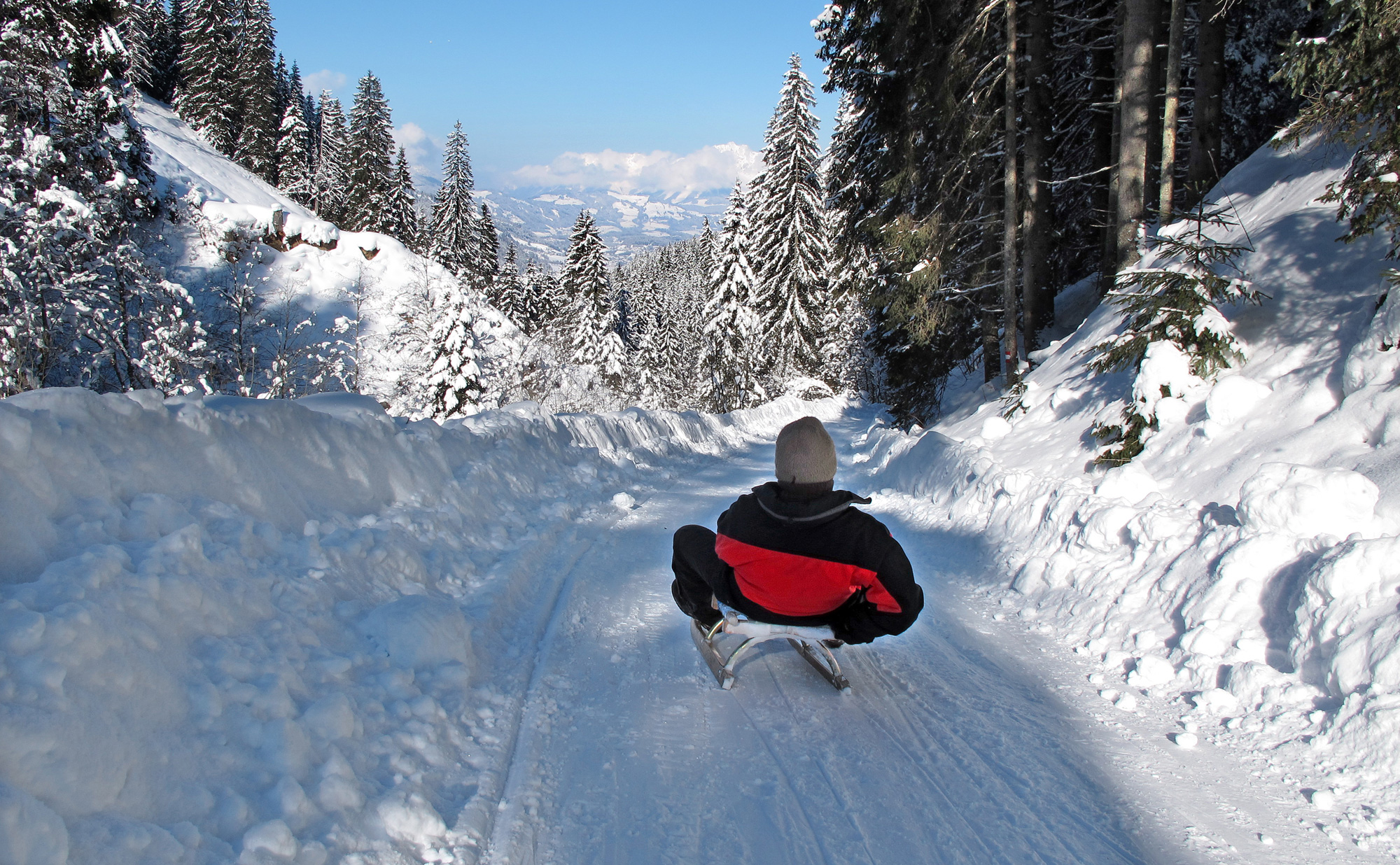 Toboggan sled rental