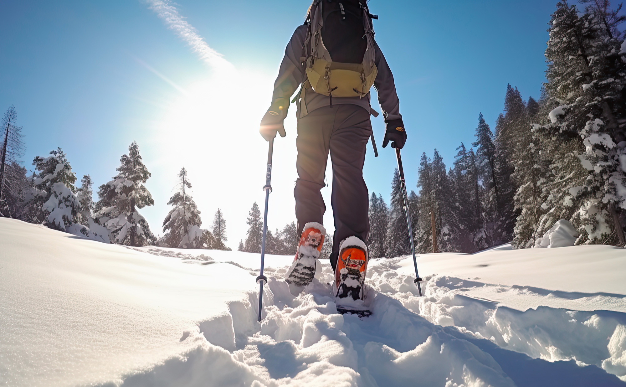Snowshoes ski poles